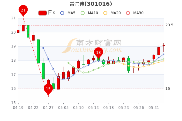 雷尔伟股票，投资潜力与市场前景分析
