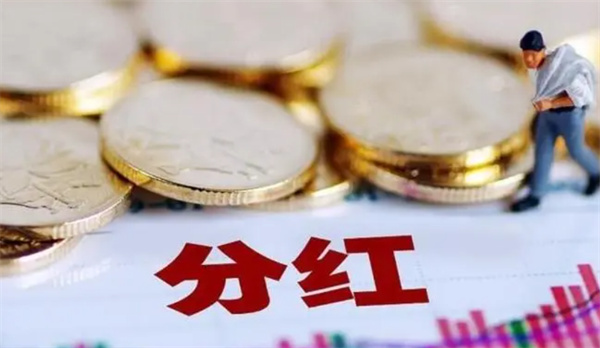 买了股票可以分红吗，股票投资的分红机制解析
