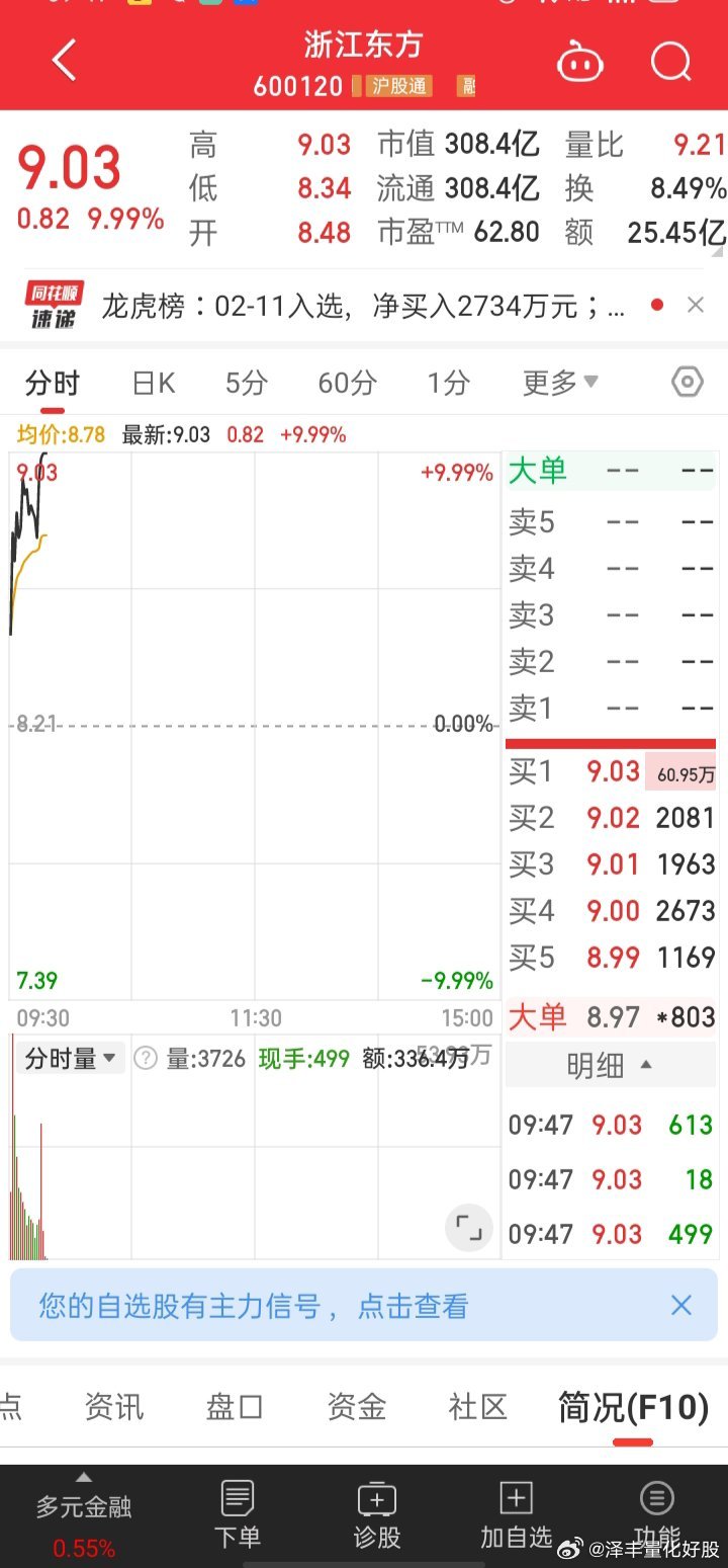 浙江东方股票，投资潜力与市场分析