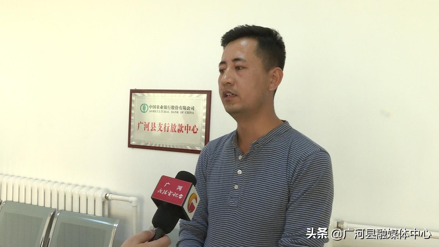 农行股票行情，稳健增长背后的市场洞察与投资策略