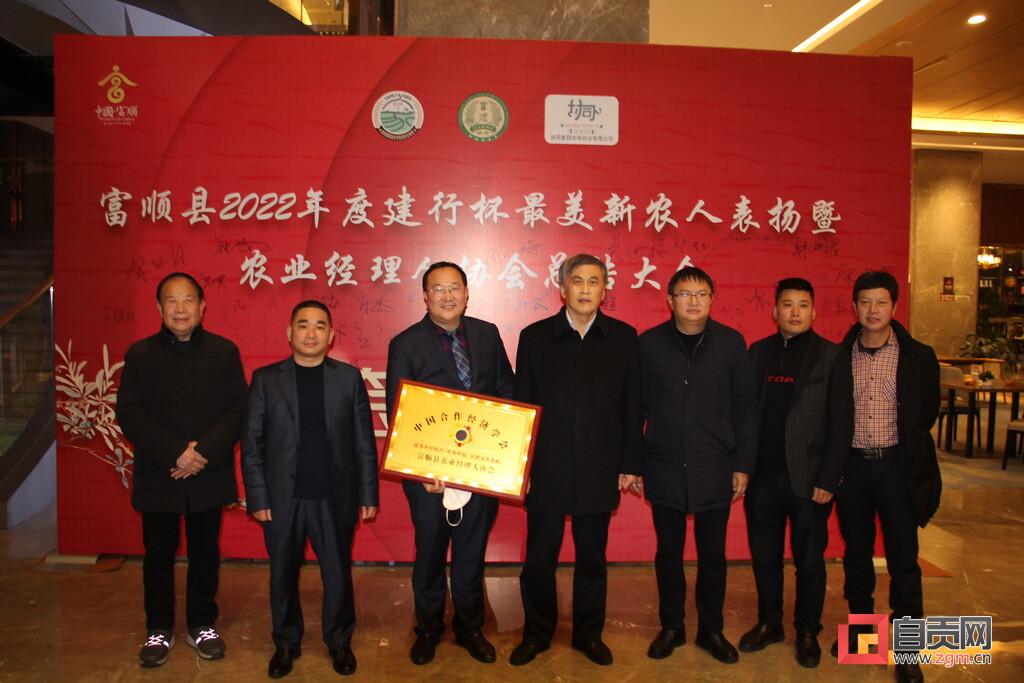 建行股票分红，稳健投资者的金色诱惑