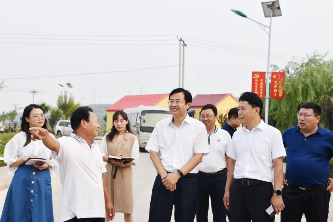 扎实做好四篇文章，推动高质量发展的关键路径