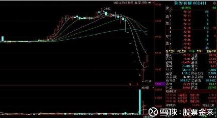 股票002411，科技与创新的双轮驱动