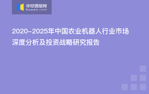 金融证券，市场动态与投资策略的深度剖析