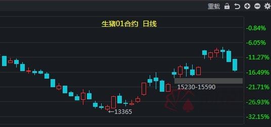 集运指数（欧线）主力合约暴跌超17%市场波动背后的深层解析
