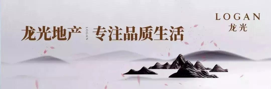 女生投资新风尚，精选炒股软件推荐与下载指南