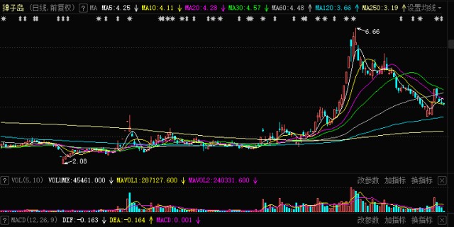 002069股票，从行业前景到投资价值深度剖析