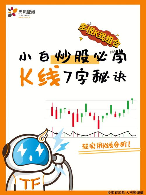 小白炒股必看，下载软件推荐与实用指南