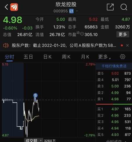玖龙股票，纸业巨头的市场风云与投资价值分析