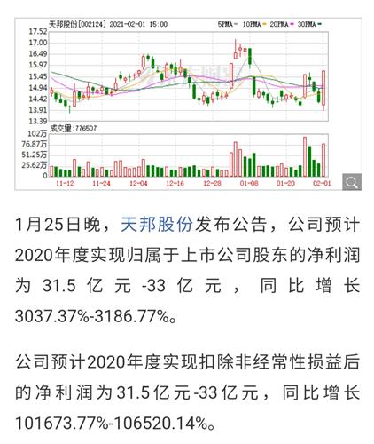 探秘天邦股份股票，从行业龙头到未来蓝图的深度剖析