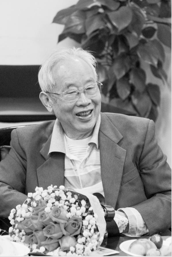 芯片板块普跌，行业调整背后的多维透视