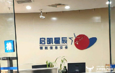 启明星辰股票，网络安全领域的璀璨之星