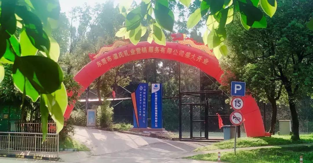 300498股票，科技蓝海中的创新先锋