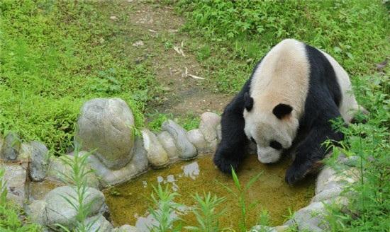 公积金贷款期限调整，最长不超过30年的影响与应对策略
