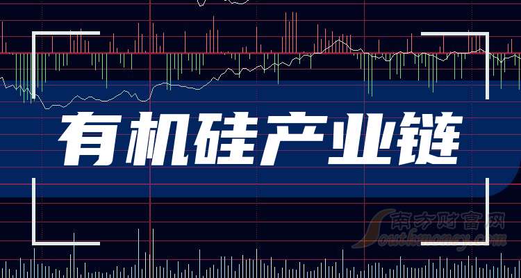 金园股份股票，投资潜力与市场展望