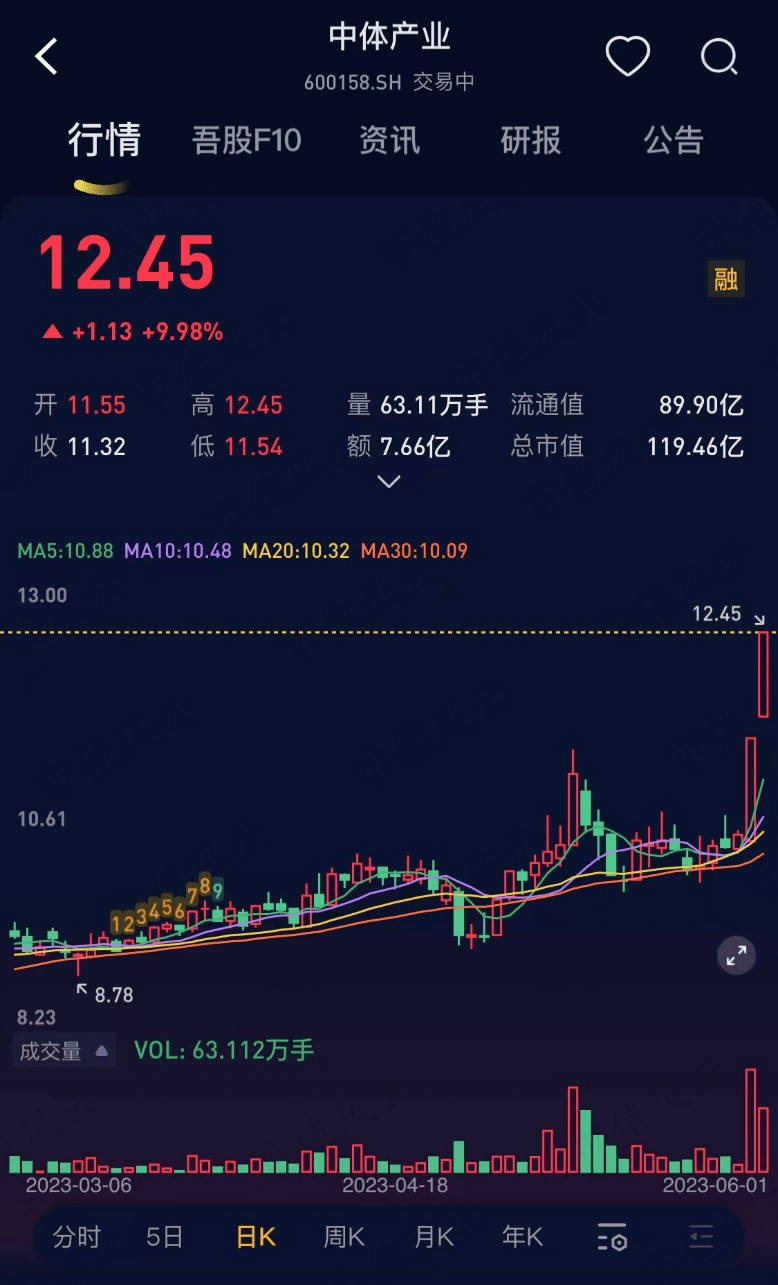 探秘中体产业股票，股吧热议与市场分析