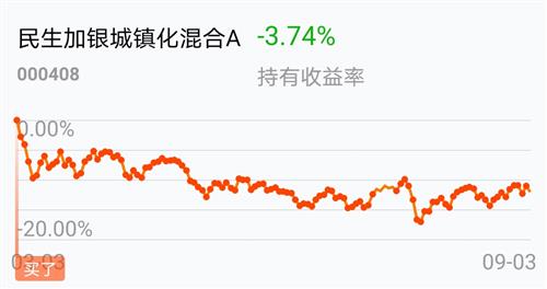 000408股吧，深度解析与投资策略探讨