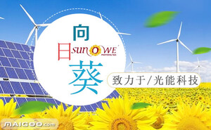 向日葵300111，科技创新引领的成长股新篇章