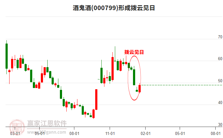 洒鬼酒股票，中国白酒市场的独特风景线