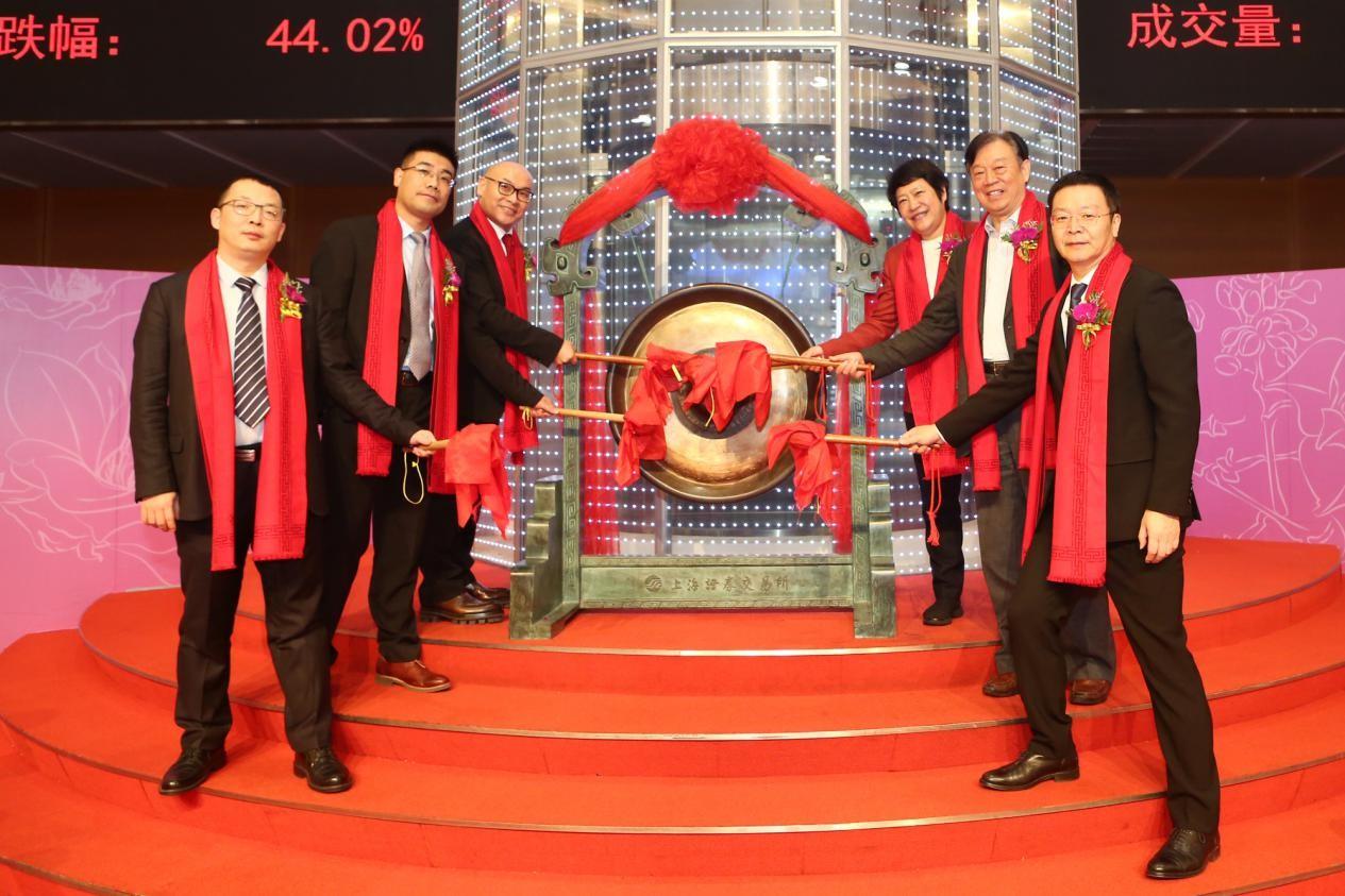 股票300562，科技创新与市场前景的双重驱动
