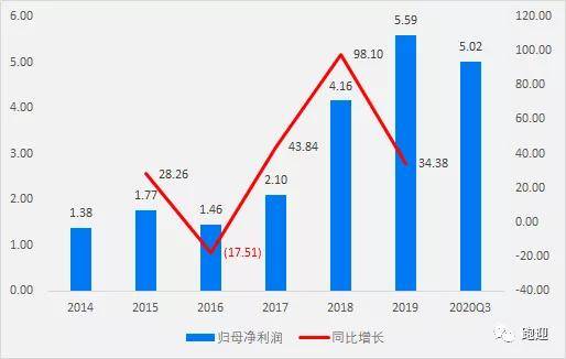 600966博汇纸业股票，行业龙头的成长之路与投资价值分析