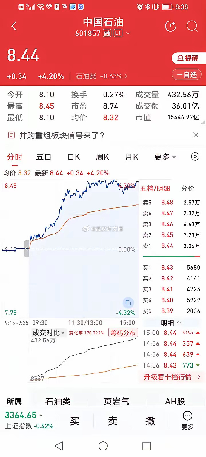 大蓝筹异动，市场风向标的新动向与深层解析