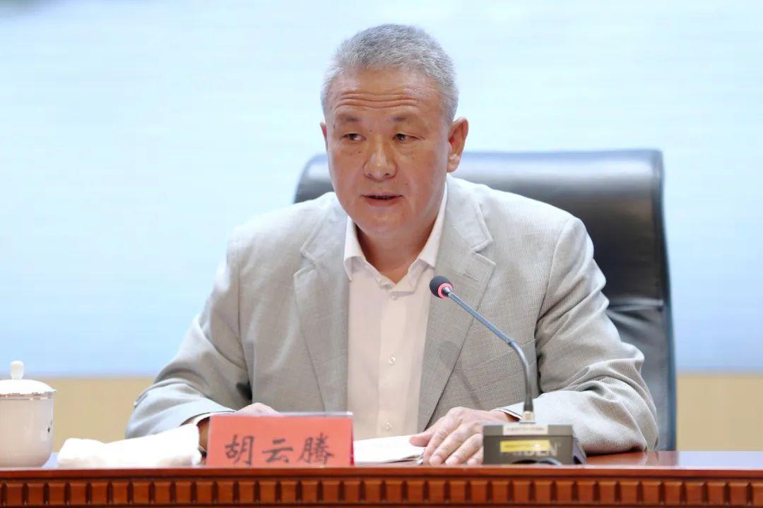 以官员透露，深化改革的内部视角与未来展望