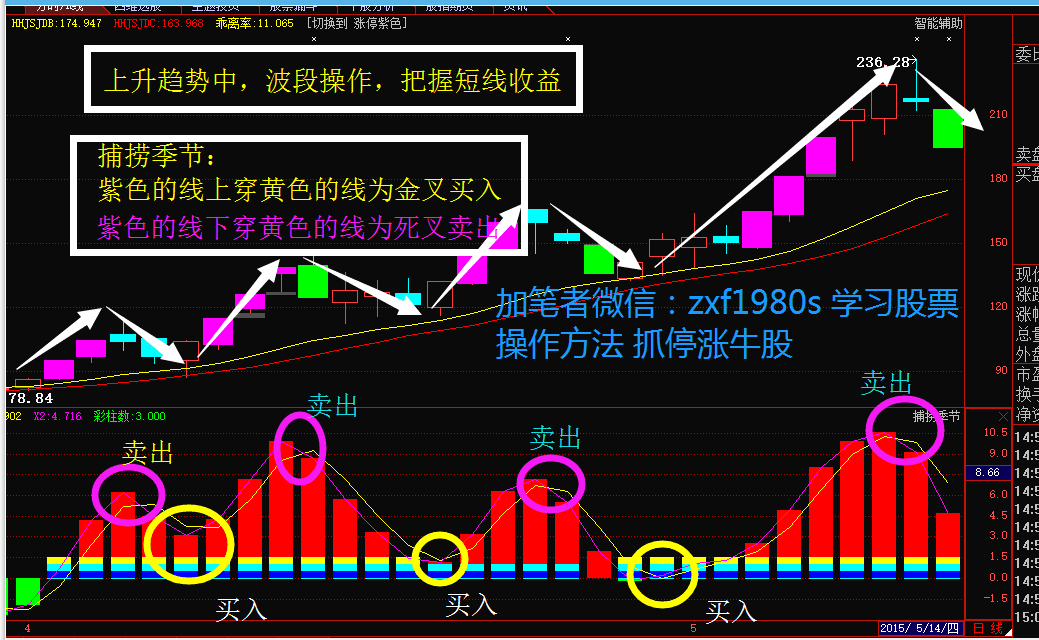 探索金黄国际炒股软件，一站式投资新体验