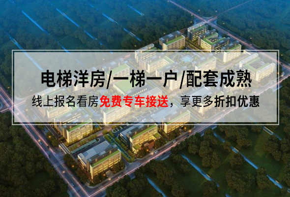 5月7日软商品日报，市场动态与趋势分析