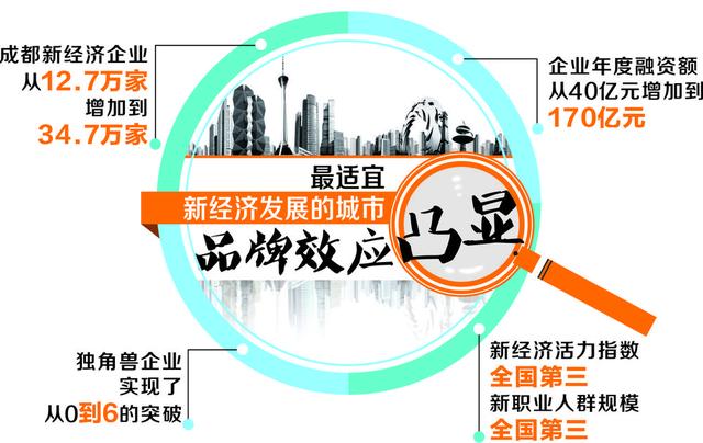 辉丰股份002496，从农药巨头到转型探索的挑战与机遇