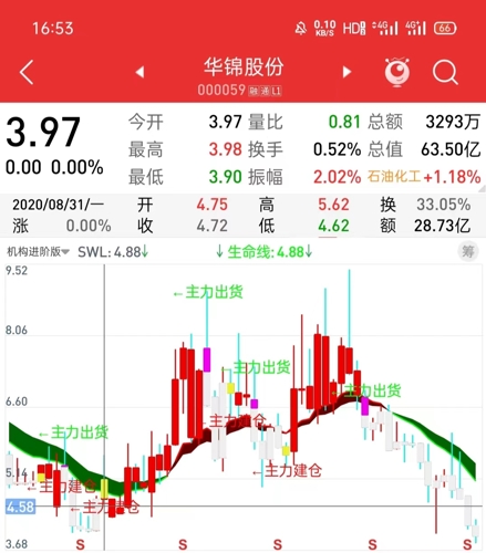 探索华锦股份，创新驱动下的产业升级与可持续发展之路