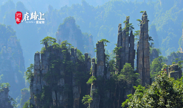 探索张家界旅游与股票市场的双重魅力