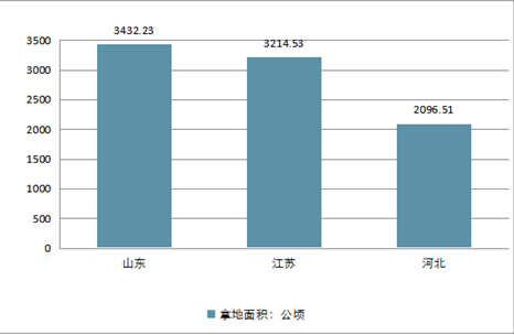 纸黄金，投资新宠与市场分析