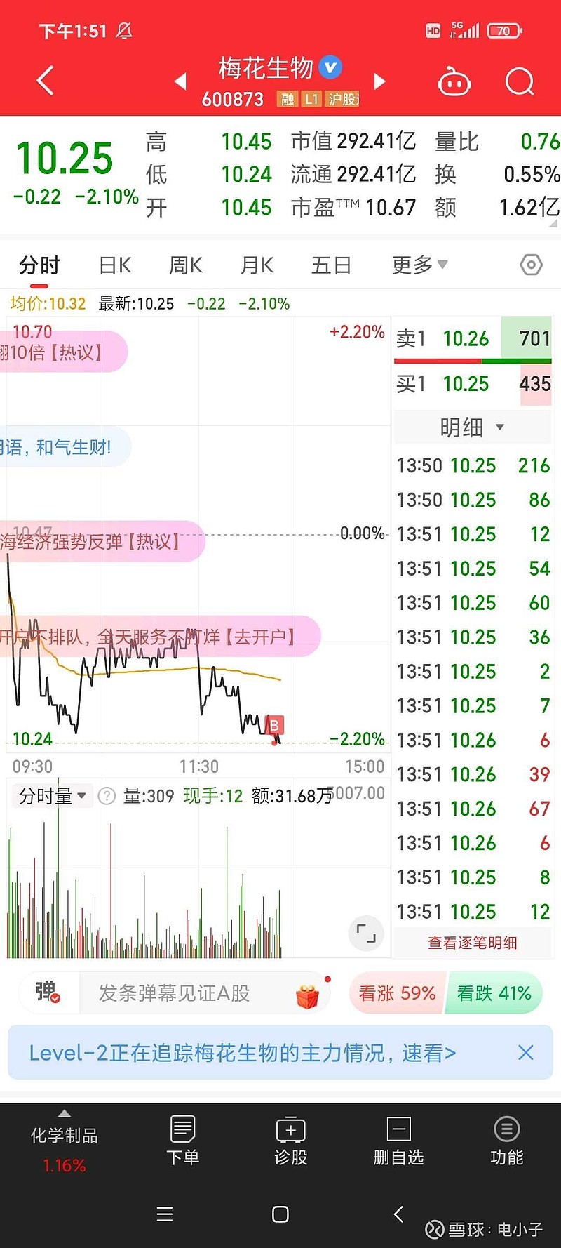 梅花生物股票，行业龙头的成长之路与投资价值分析