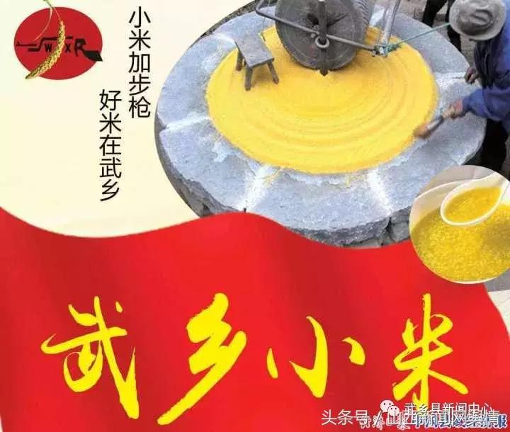1月10日农产品日报，市场动态与趋势分析