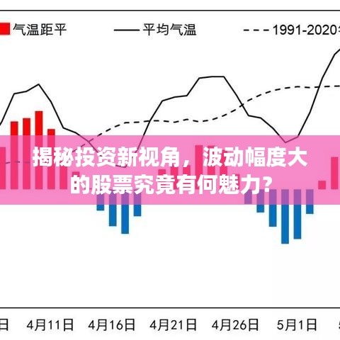 股票投资新视角，立讯精密的崛起之路与未来展望