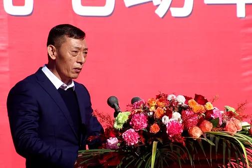 600617国新能源股票，绿色能源的未来与挑战