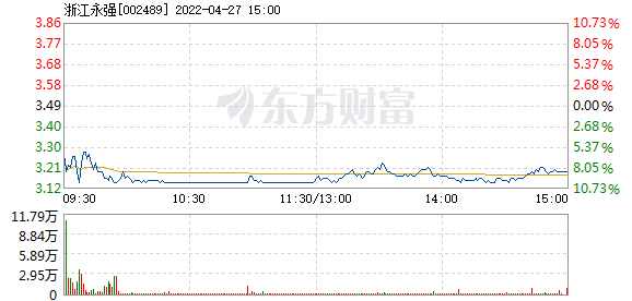 浙江永强股票股吧，风雨兼程的成长之路与未来展望
