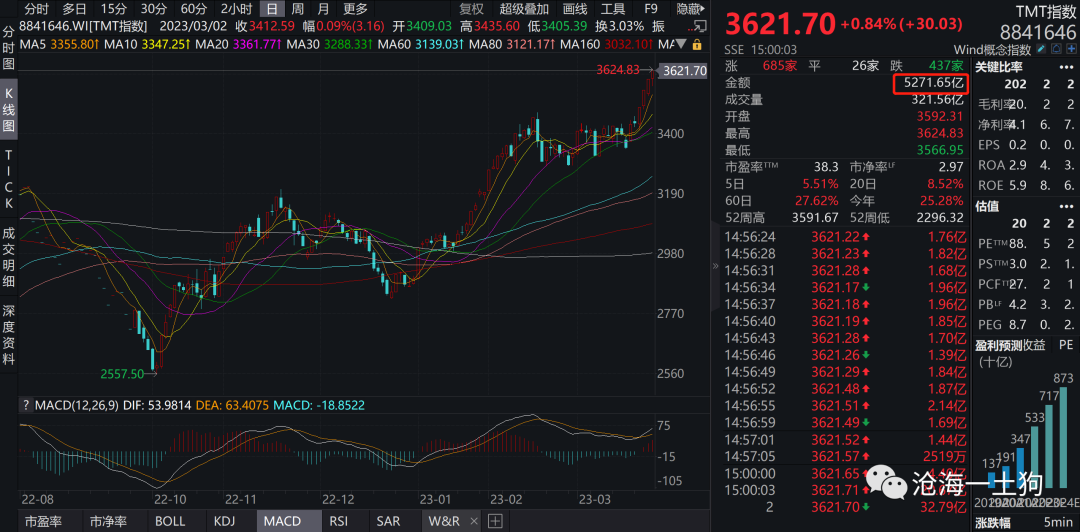 股票上市的详细程序与关键步骤解析