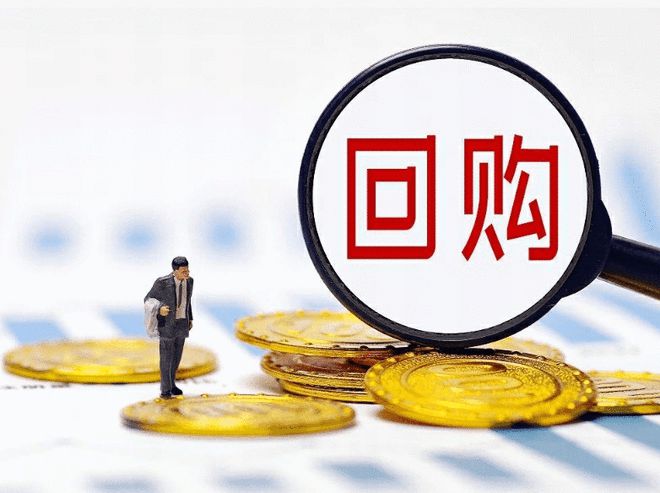 回购增持并举，ESG领先企业上市以来分红超6亿彰显价值