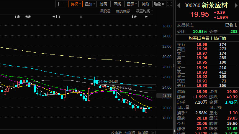 银禧科技股票，300221的崛起与未来展望