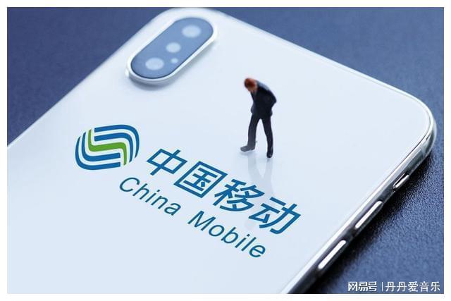 南京新百600682，稳健增长背后的投资价值与市场动态