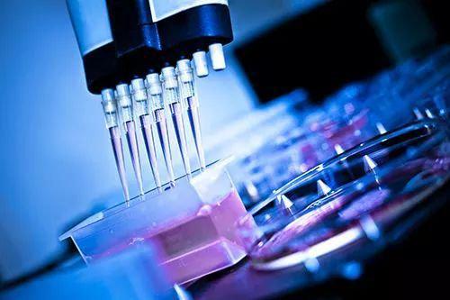 生物医药与高科技材料领域的璀璨明珠，上海医药、中复神鹰与灿芯股份排名前三的深度解析