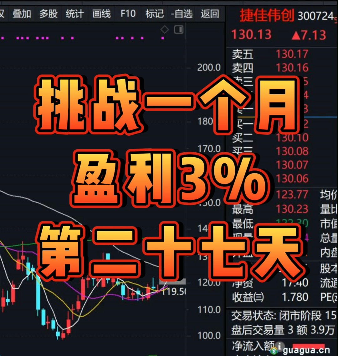 深度解析，股票002332的投资价值与挑战