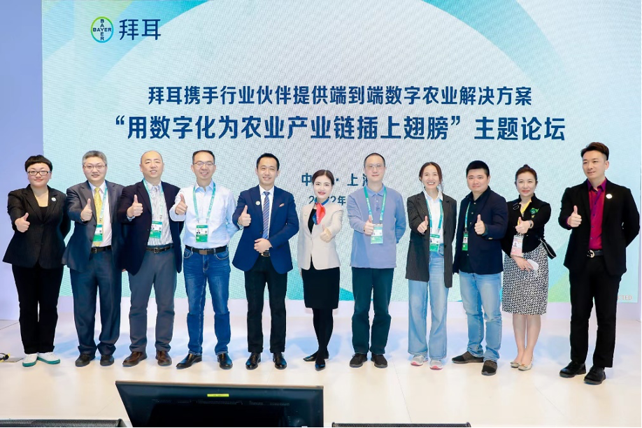 中建材信息，携手合作伙伴，共创数字化转型新篇章