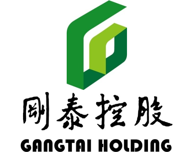 刚泰控股股吧，迷雾中的探索与期待
