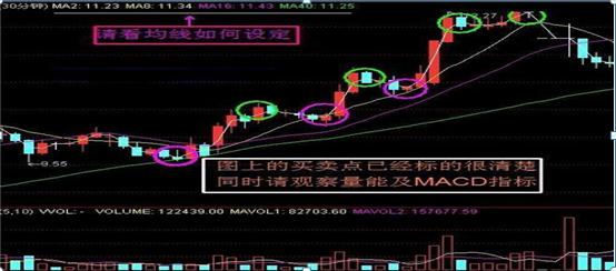 股票操盘手，高薪背后的挑战与机遇