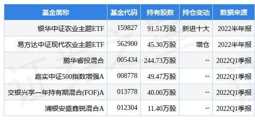 千股千评，和邦生物股票的深度剖析与未来展望