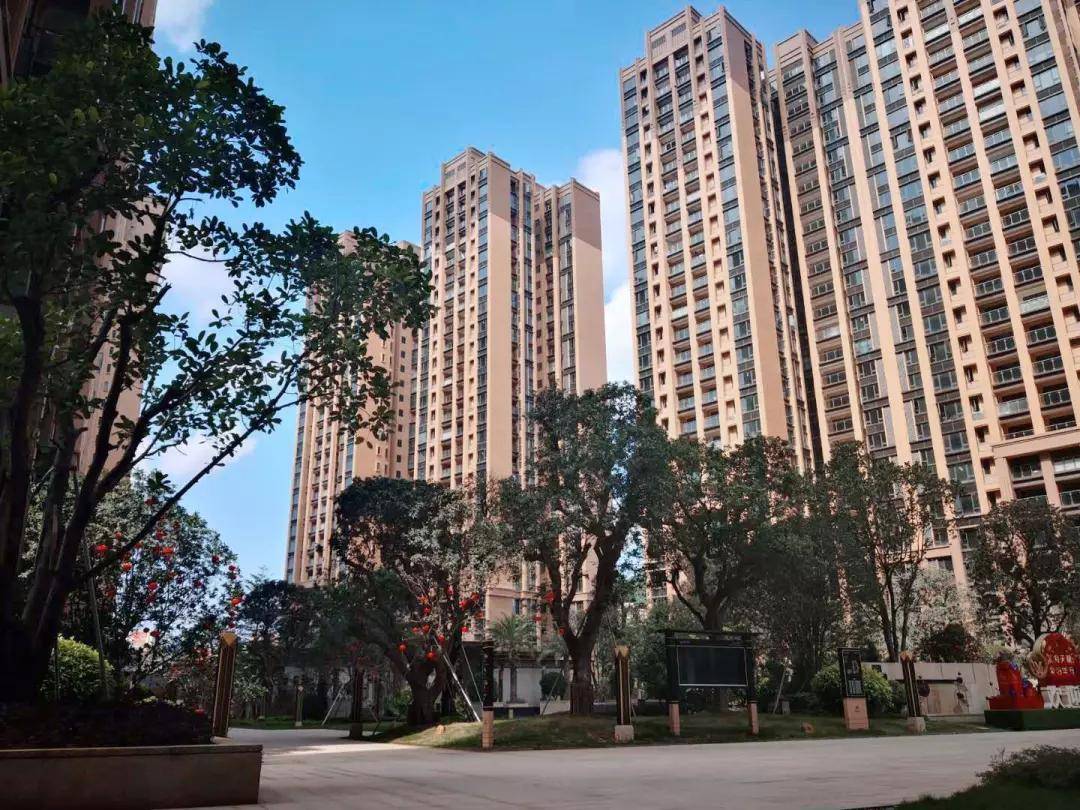万家乐股票行情深度解析