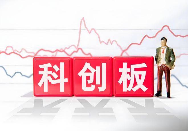 探秘上海中微半导体，科技创新引领的股市新星